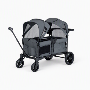 Wagon Stroller (2 Kids) - NOT Disney Approved